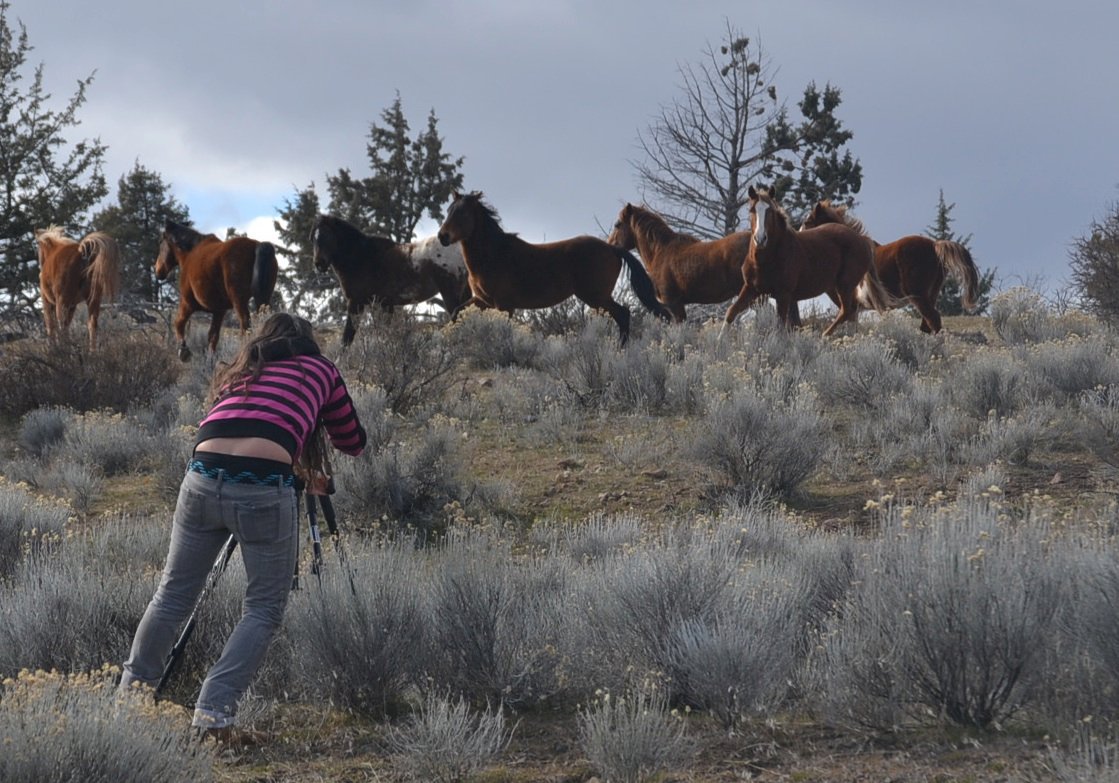 Emily Wright filming herd of wild horses in Warm Springs, OR